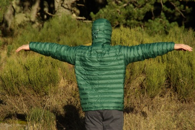 Patagonia Down Sweater Tumble Green