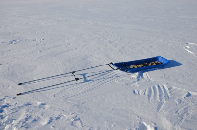 Pulka Snowsled Ice Blue Trail