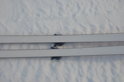 SkisRossignol_04_hr.jpg