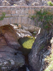 Corse Canyon Dardo
