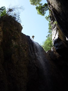 Corse Canyon Dardo