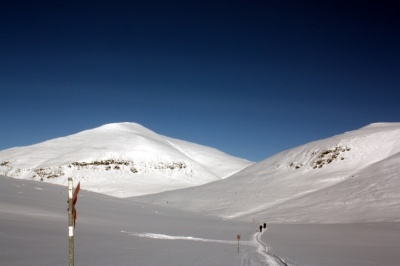 Kungsleden