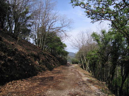 VTT dans le Maures