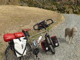 Nouvelle Zélande, l'île du sud en vélo et en trichant