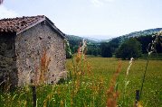 Haut Forez - Col du Béal - Monts de la madeleine