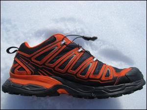 Chaussures Salomon X Ultra GTX