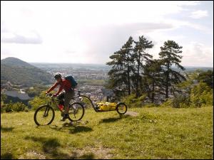 Remorque à vélo Aevon Uno 100