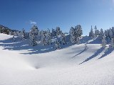 Divagation hivernale sur les Hauts Plateaux du Vercors