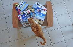 comment-avez-vous-connu-carnets-d-aventures