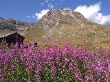 le QUEYRAS en VTT bul magnifié par le partage. Ticaillou en mode solo accompagné.