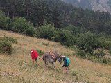 Trek en montagne en famille avec un âne