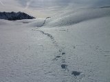 Ma 1ère itinérance hivernale (Haute Route des Escartons)