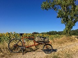 Petit demi tour de France en vélo cargo