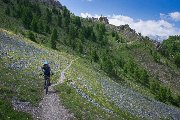 Tour Queyras / Piémont / Ubaye