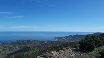 Un petit tour à Collioure