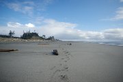 East beach trail (Haida Gwaii)