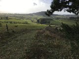 Sancy : rando trail 3 jours