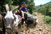 Voyage avec deux ânes dans les Cévennes