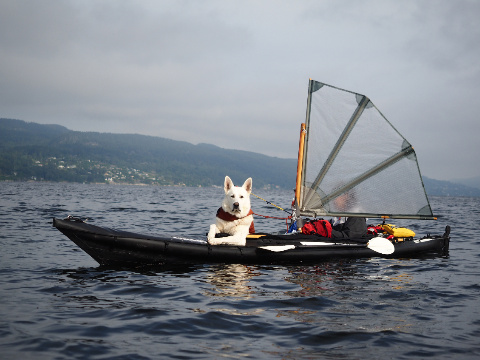 en-kayak-avec-son-chien