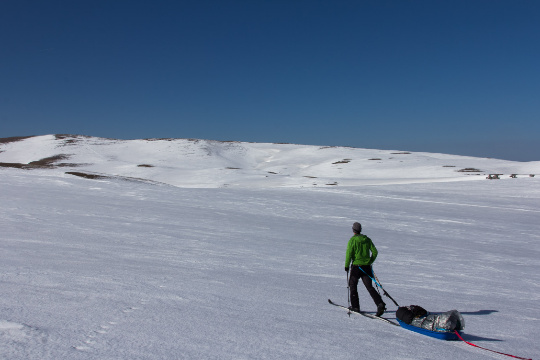 Ski de randonnée nordique