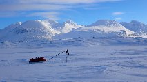 Ski pulka dans le parc national du Sarek