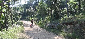 Remorque à vélo Convenience-I de TW-Bents