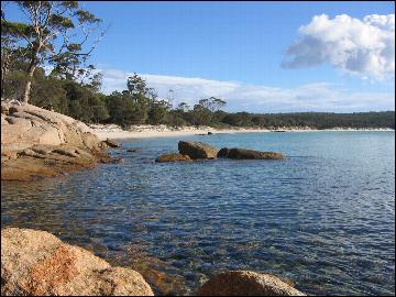 tasmanie