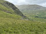 Deux feuilles de trèfle Irlandais