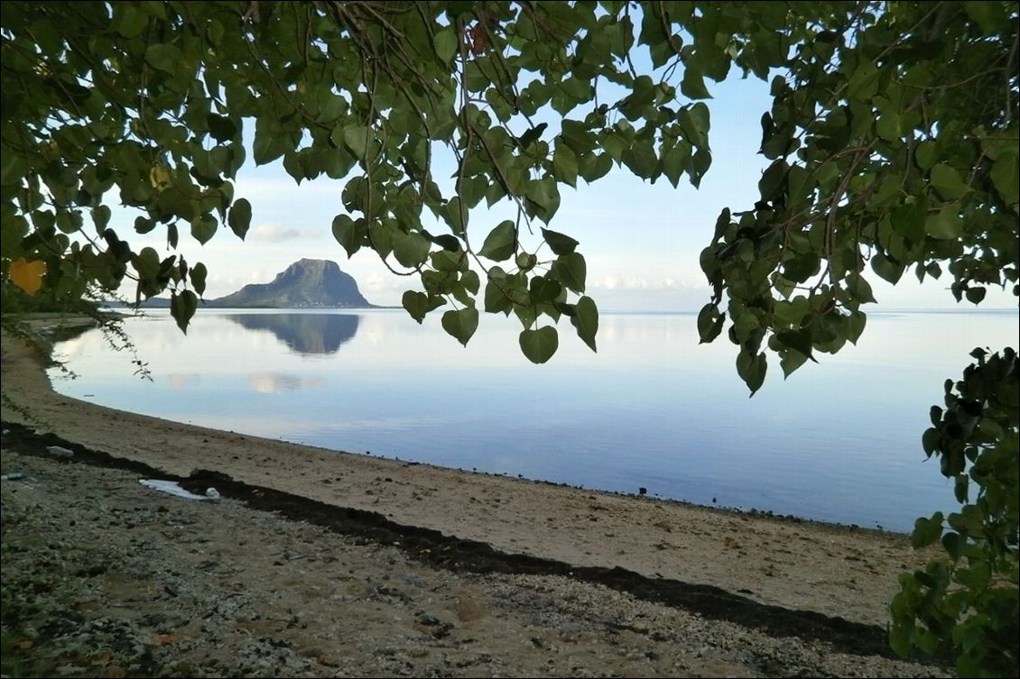 Le Morne Brabant au loin, que j'ai envie de contourner avant de m'arrêter.