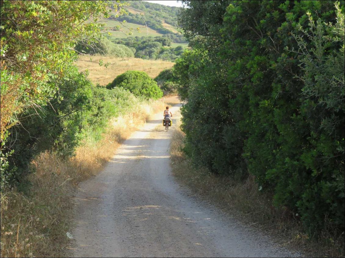 Quelques kilomètres de piste au sud de Stintino. Il est 7h du matin. Super moment de vélo!