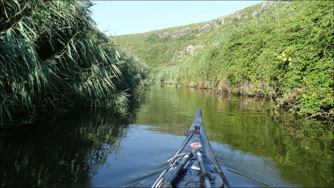 Petit fleuve au niveau du bivouac, on cueille quelques mures