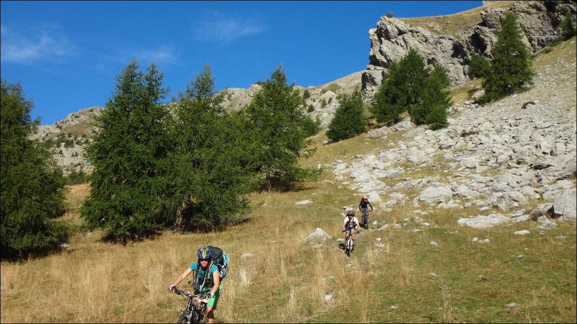 Descente sur la Foux d'Allos