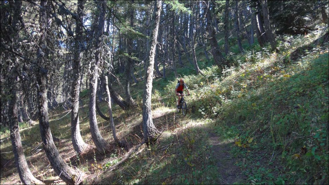 Single de rêve après la cabane. Johanna a failli se prendre un chevreuil qui descendait à pleine vitesse dans la pente...