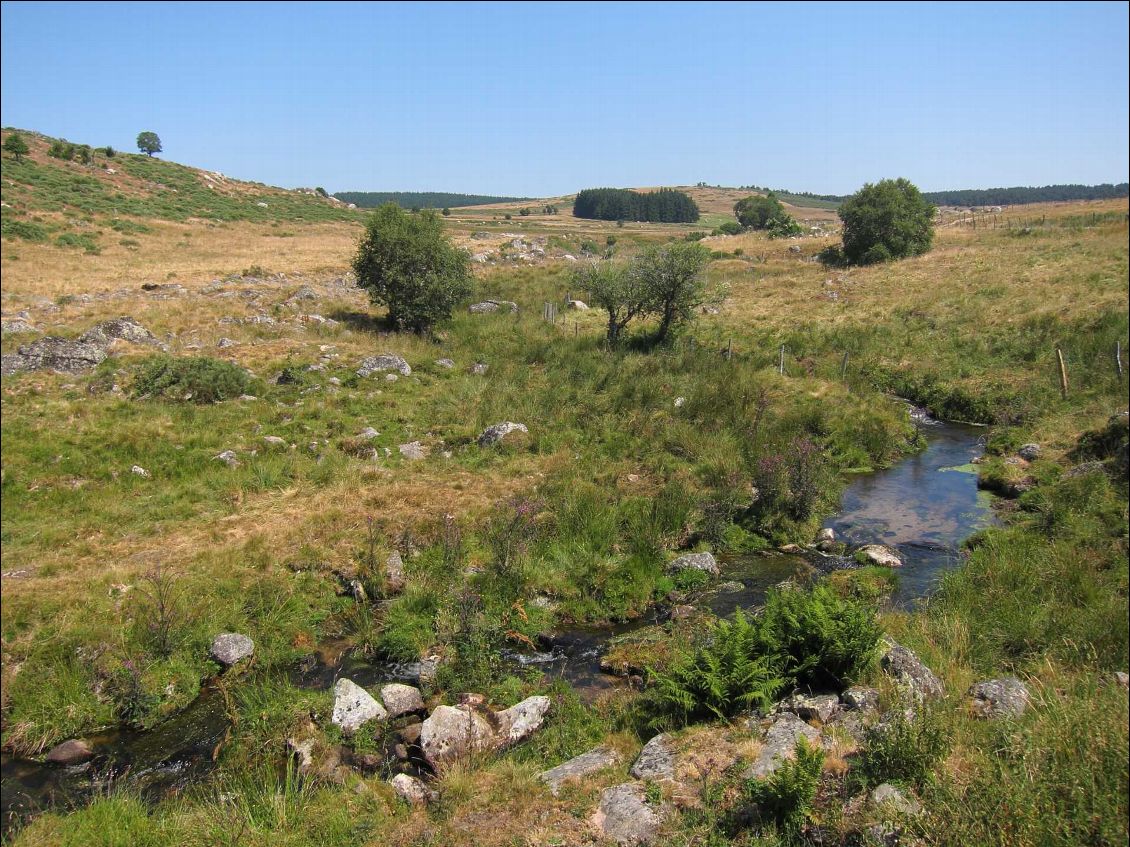 La Truyère quelques km après sa source