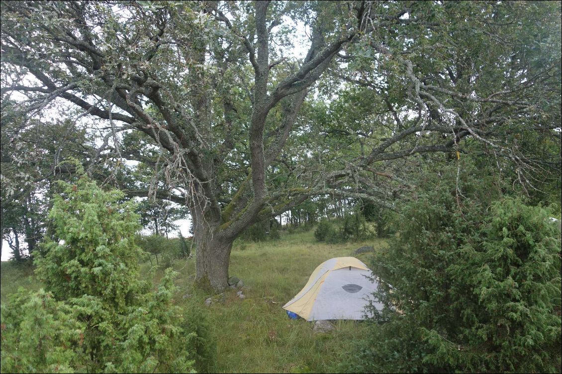 bivouac 3 dans la foret