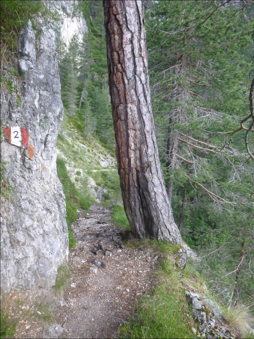 Chemin balisé, mais pas toujours très large