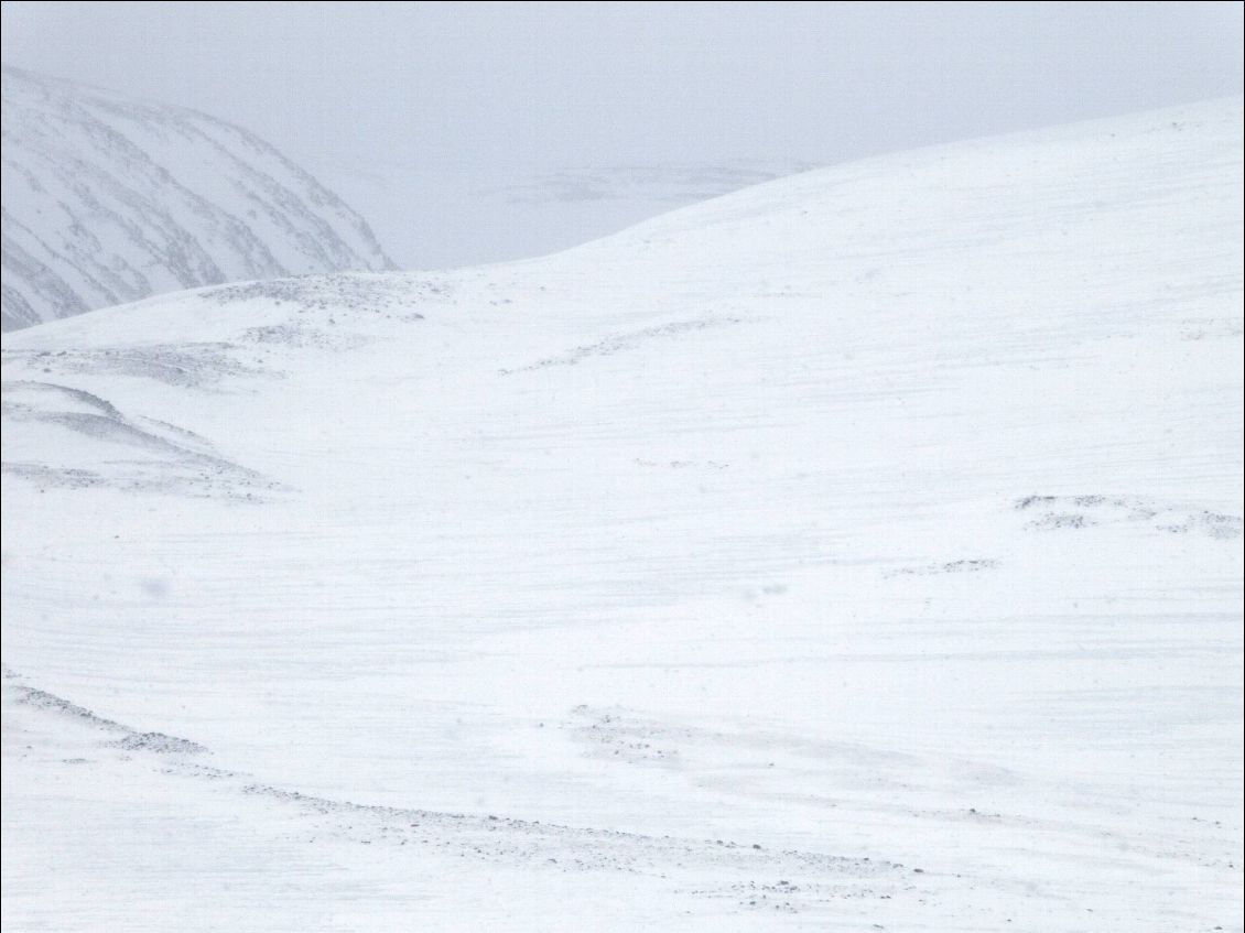 La neige a cessé de tomber mais pas le vent qui a "décapé" les pentes et les crêtes exposées