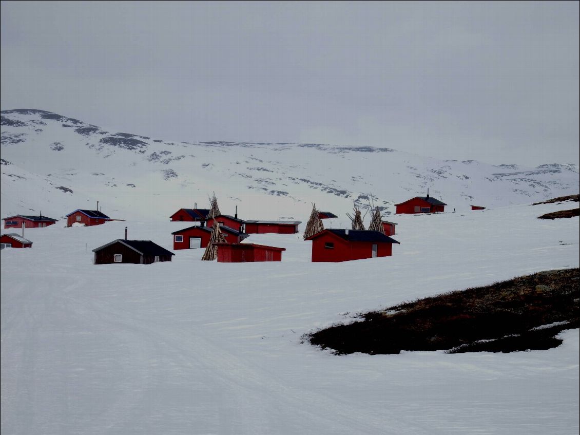 Magnifique village de pêcheurs d'Alesjavri