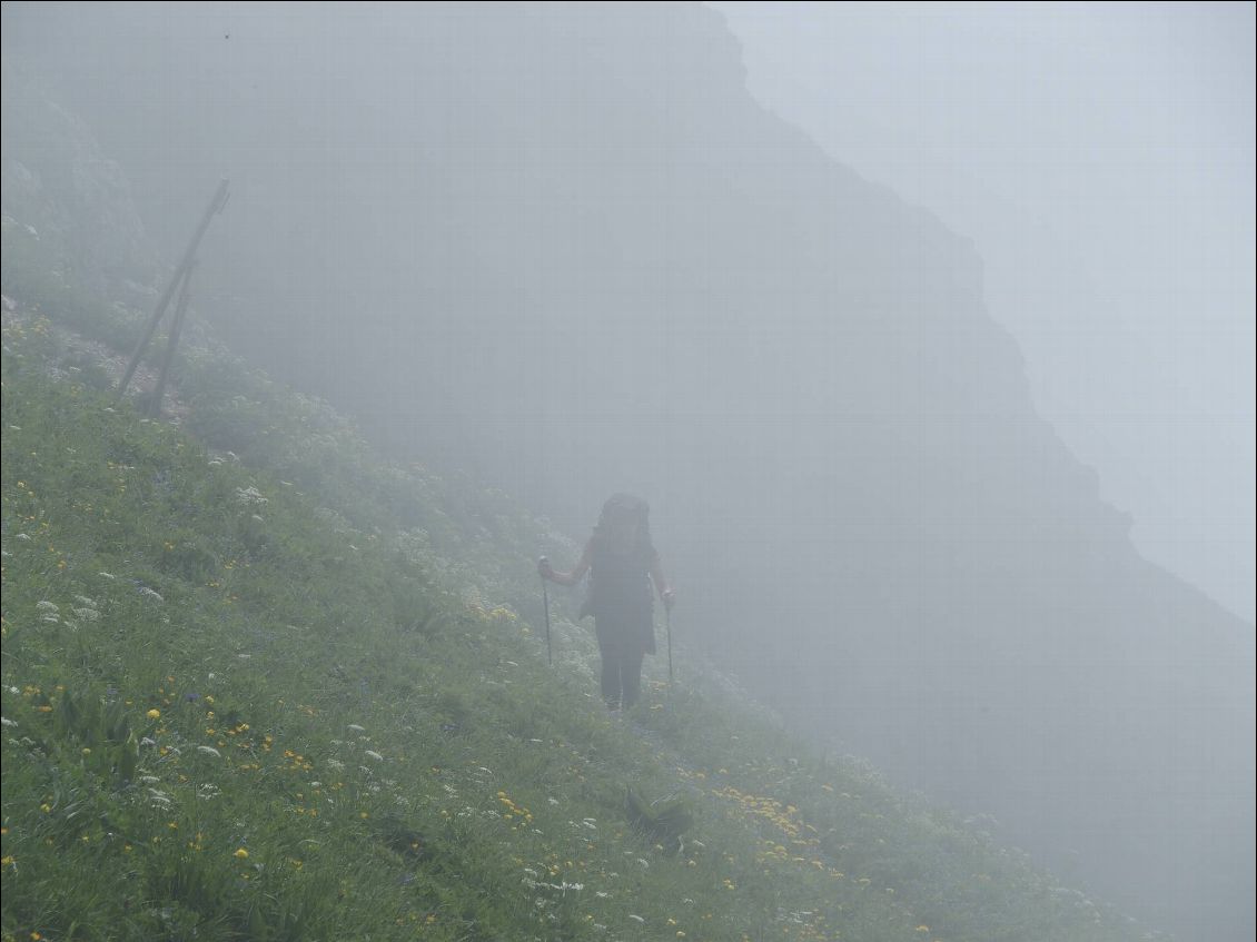 Lulu prend le frais dans les nuages qui colles au col de Rebollion