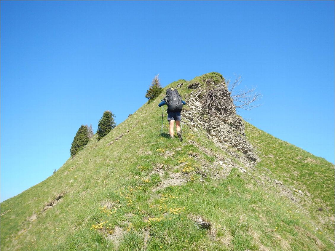 Nous montons le col de d'Angolon par les crêtes puis la pointe d'Angolon par une crête interminable et surtout un pente effroyablement pentue.