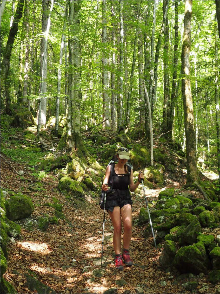 Après la neige, nous descendons dans la vallée très boisée de grand feuillus.