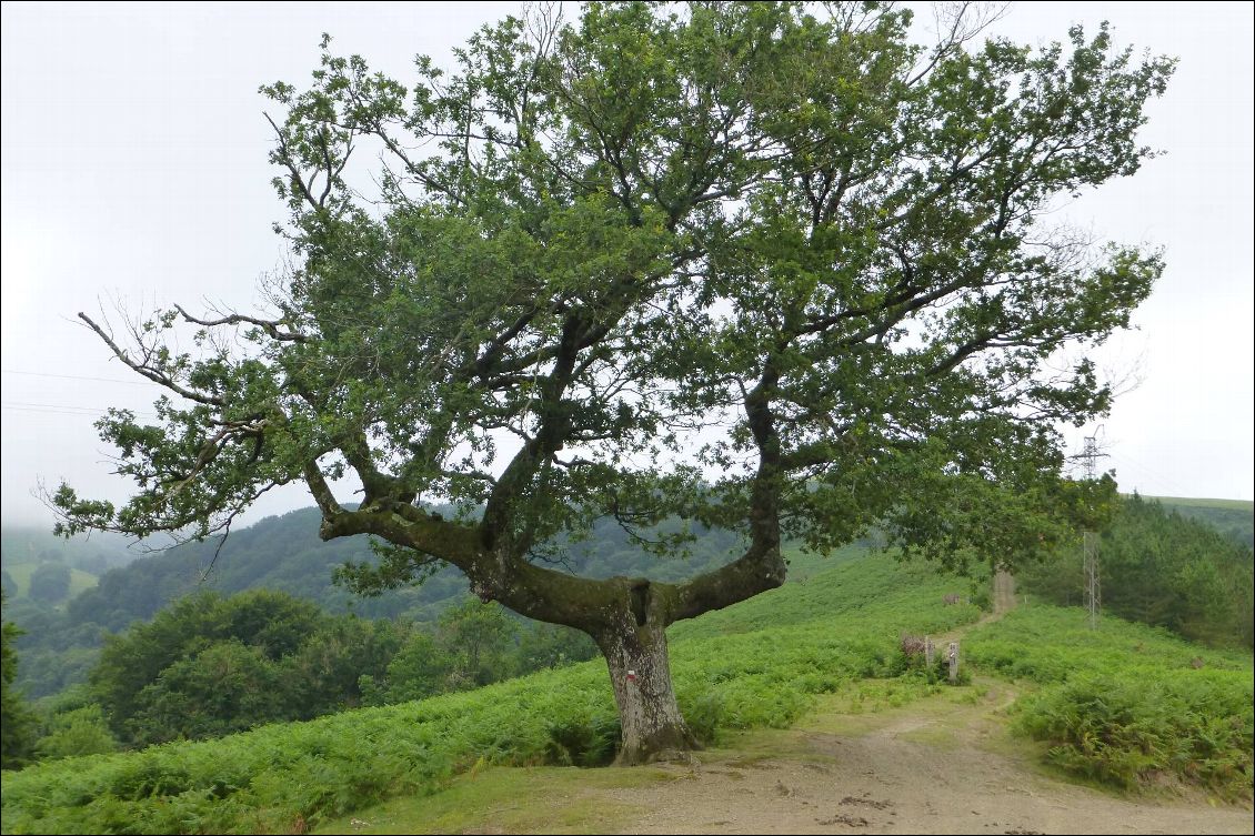 Bienvenu au pays Basque