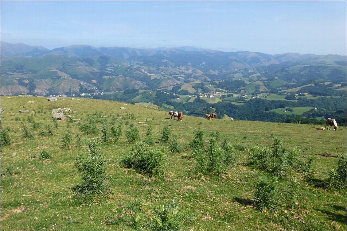 Vue sur la vallée des Aldudes au col d'heyharza