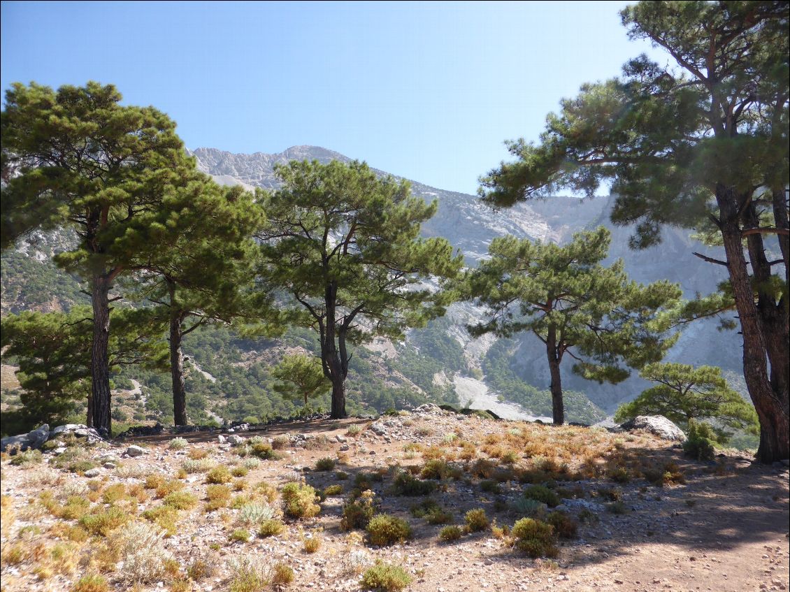 paysage méditerranéen sur les hauteurs de Kosagac