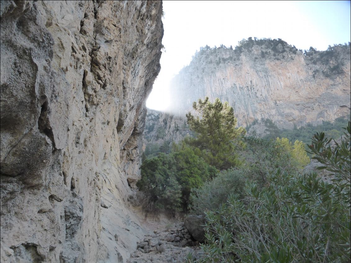 Chemin "alpestre " dans la très longue montée .