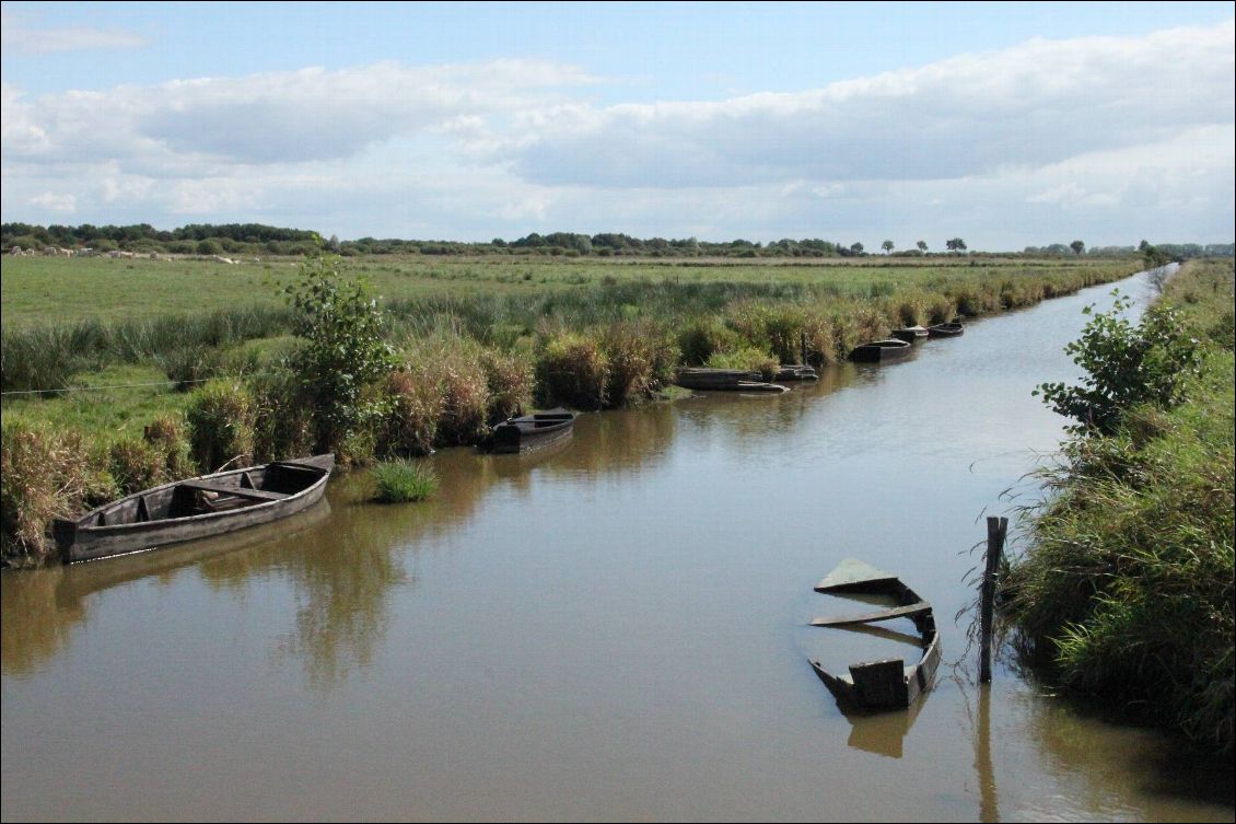 Marais de Brière