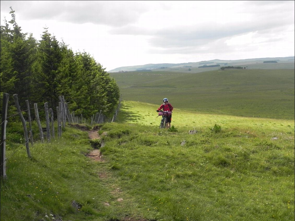 Les rajas, à proximité du point culminant de l'Aubrac