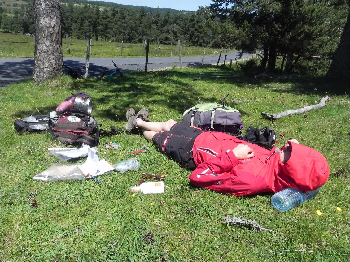 Picnic du midi, on fait une petite sieste et on dessine!