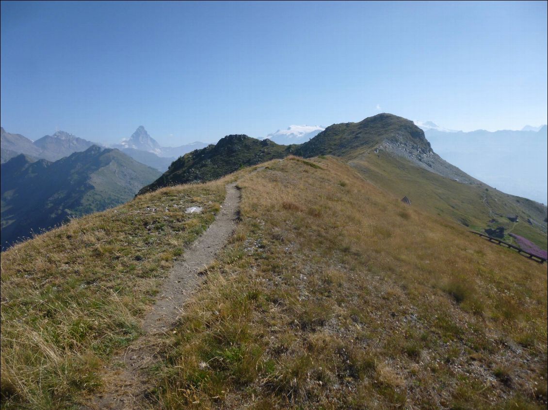 La jolie crête herbeuse pour décoller en SE avec le Cervin en toile de fond