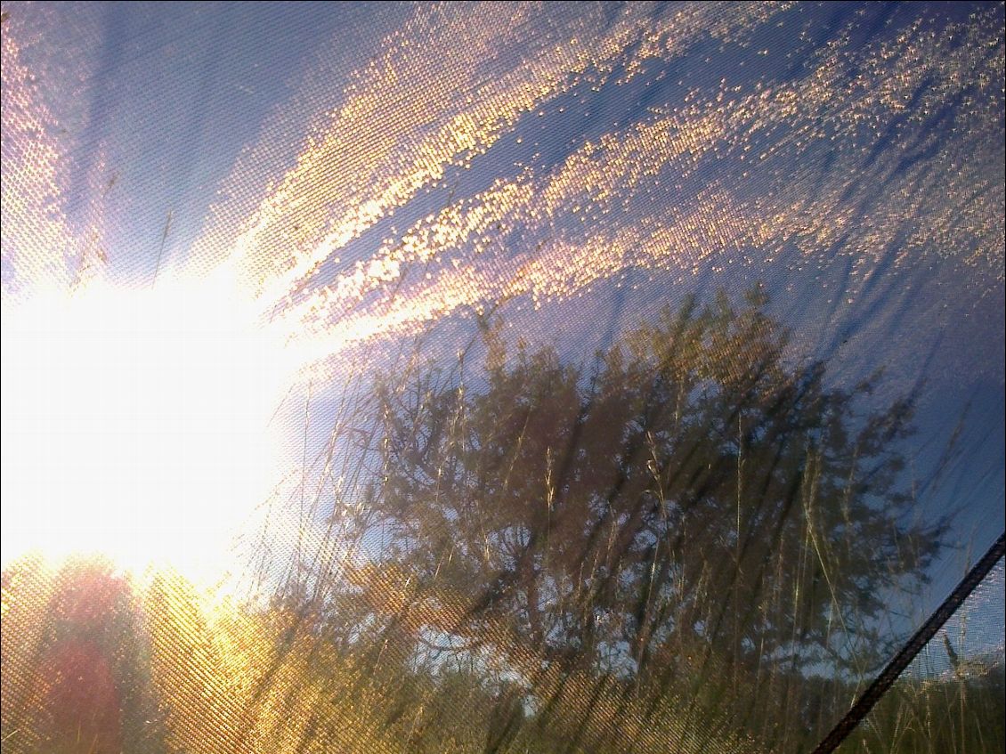... Je tourne la tête: le soleil éclabousse! Ouahh, j'adore ces réveils...